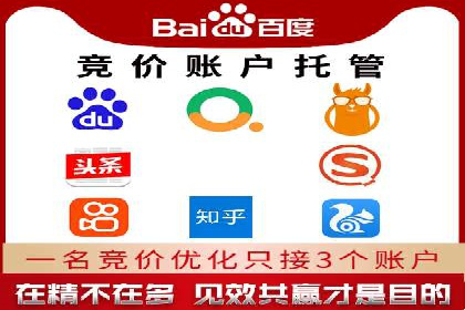 托管竞价sem案例分享：某电商平台的成功之路